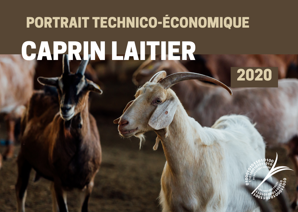 Inf. complémentaires : PORTRAIT TECHNICO-ÉCONOMIQUE - CAPRIN LAITIER 2020